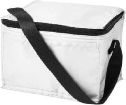 Koeltas - Mini Koeltas - Geschikt Voor 6 Blikjes - Compact Koeltas + 2 Koelelementen - Rheme -Bo-Camp Verkoop 1200x1001 2