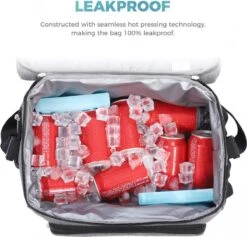 Lifewit 20L Koeltas | 20 Liter | Opvouwbaar | Koelbox-Koeltas | Isolatietas/ Picknicktas Voor Levensmiddelen / Grijs -Bo-Camp Verkoop 1200x1153 9