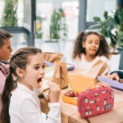 Brisby 4 Laags Geïsoleerde Koeltas - Lunchtas 1.5 Liter - Roze Pinguïn 2 Brisby 4 Laags Geïsoleerde Koeltas - Lunchtas 1.5 Liter - Roze Pinguïn -Bo-Camp Verkoop 1200x1200 1704