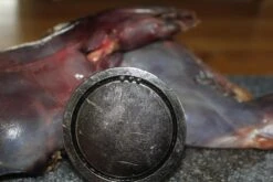 【JACHTMAGNEET / HAGELMAGNEET 】– Jacht Accessoires 2020 – Hagel Verwijderaar – Jagers Cadeau - Wild Magneet 2 【JACHTMAGNEET / HAGELMAGNEET 】– Jacht Accessoires 2020 – Hagel Verwijderaar – Jagers Cadeau - Wild Magneet -Bo-Camp Verkoop 1200x800 26